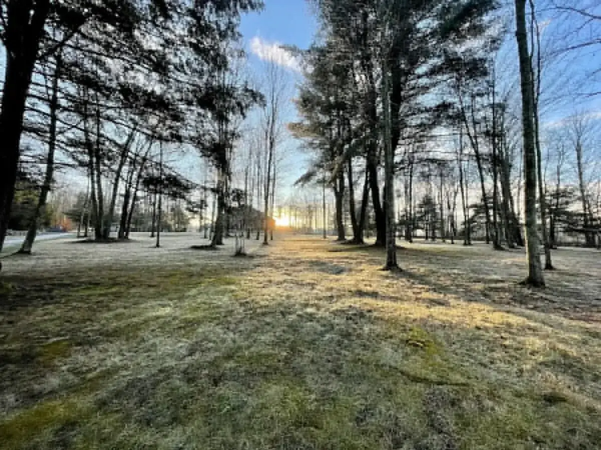 Sunrise through the trees on the grounds, frost on the grass