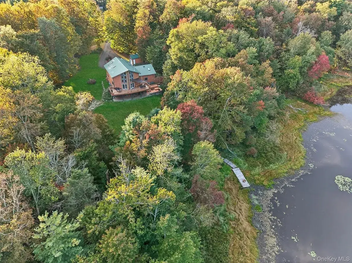 The house and lake from the air in autumn