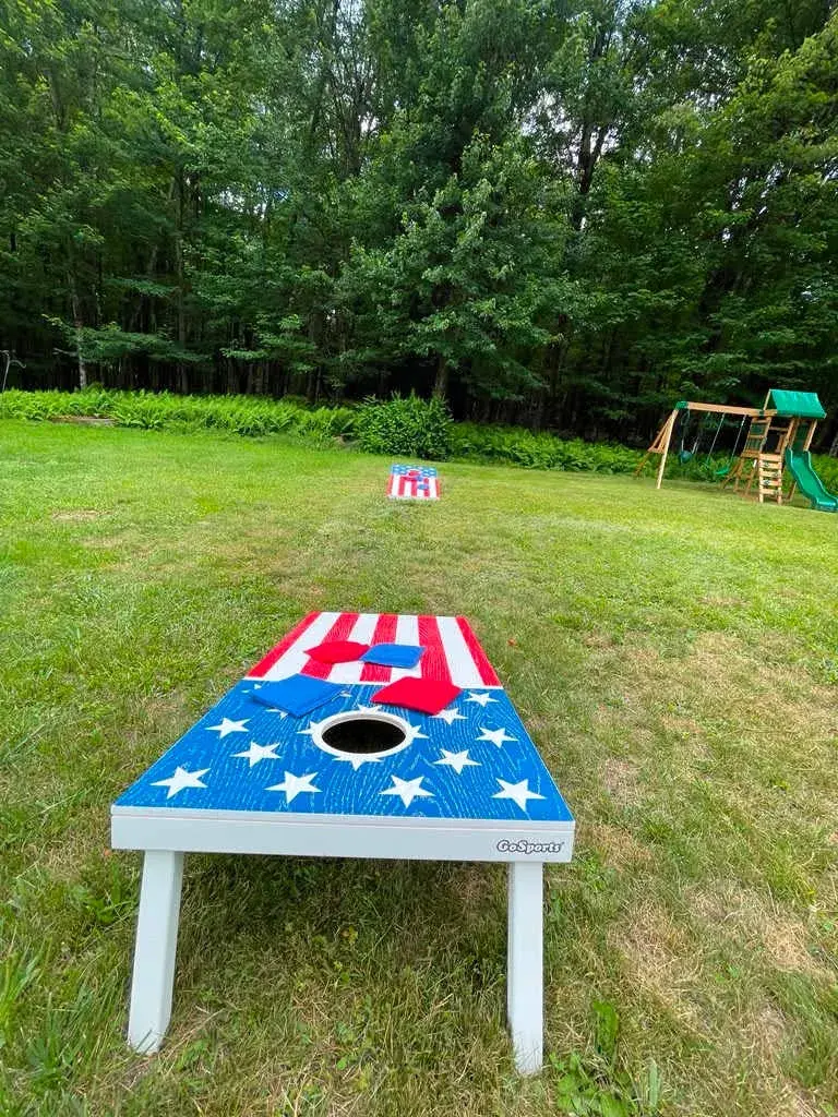 Cornhole on the lawn