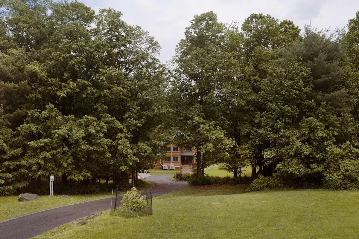 The drive through the trees